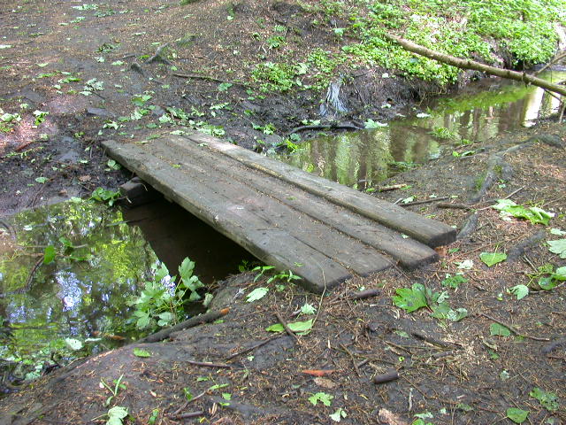 Uscita domenicale...